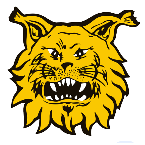 Ilves